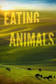 Eating Animals