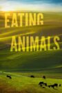 Eating Animals