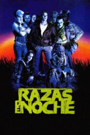 Razas de noche