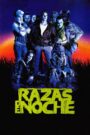 Razas de noche