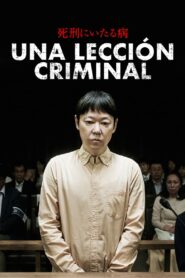 Una lección criminal